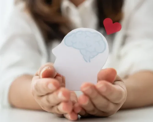 Chá Verde: O Segredo dos Especialistas para Turbinar o Cérebro, Melhorar a Memória e a Concentração