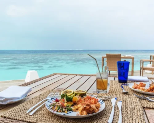 Comer na Praia no Verão: Alerta de Riscos Invisíveis de Intoxicação Alimentar e Como Proteger Sua Família