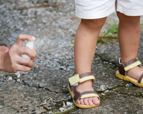 Alerta de Preço: Repelente de Insetos Varia Até 110% em Farmácias Brasileiras, Procon Revela Diferenças Assustadoras