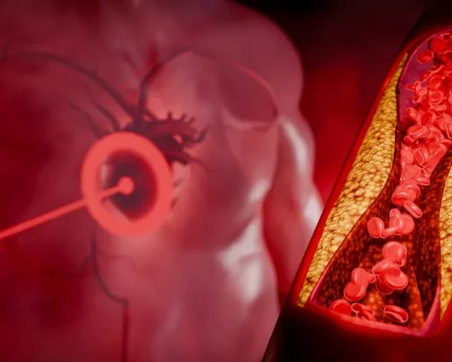 Berinjela Barata: O Segredo Natural para Reduzir o Colesterol Ruim em Apenas 4 Semanas, Comprova Estudo