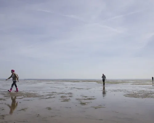 GPS ‘Engana’ Entregador da Amazon e o Leva à Rota Mortal da Broomway na Inglaterra