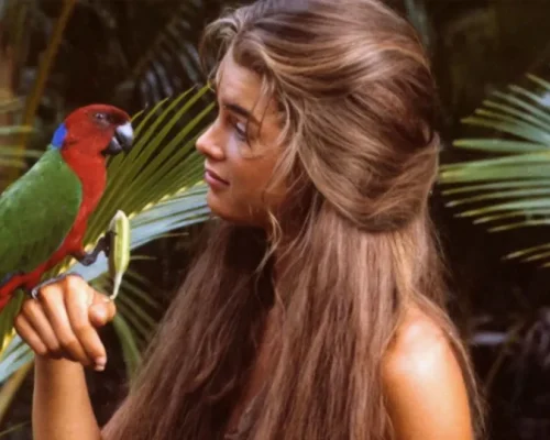 Atores Jovem Demais Para Papéis Icônicos: Quando a Idade Virou Ponto de Controvérsia em Hollywood