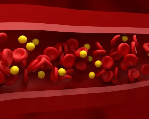 Colesterol Bom e Ruim: 4 Alimentos Poderosos que Turbinam o HDL e Blindam Seu Coração Contra Doenças Cardíacas