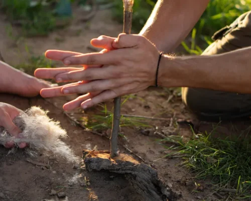 Mitos de Sobrevivência que Podem te Matar: Cuidado com Dicas Falsas de Filmes e Desenhos!