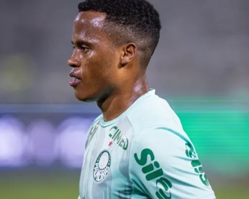 Palmeiras vence Fluminense de virada e mantém liderança isolada do Brasileirão com show de Vitor Roque e Allan