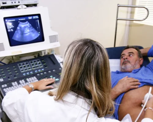 Bactéria Helicobacter pylori: O Agente Silencioso Ligado a 76% dos Cânceres de Estômago Globais, Alerta Novo Estudo