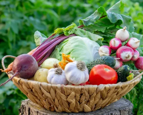 Quer Viver Mais? Nutricionista Revela o Segredo: Este Vegetal Poderoso Fortalece o Corpo e Aumenta a Longevidade