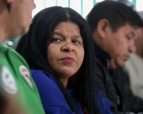 Ministra Sônia Guajajara é internada na UTI em SP com sintomas de infecção; aliados enviam mensagens de apoio