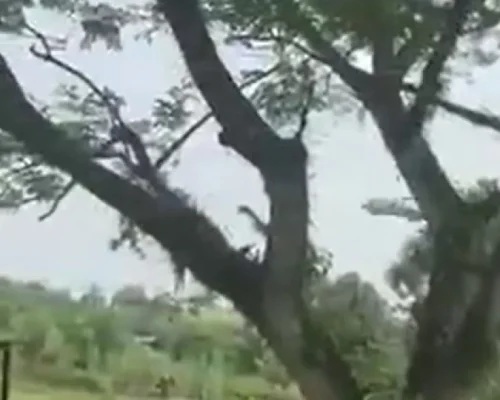 Tragédia na Colômbia: Avião militar com 125 a bordo cai após decolar, deixando 66 mortos em Puerto Leguízamo