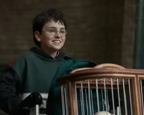 Trailer da Nova Série de Harry Potter Revela Elenco e Promete Adaptação Fiel aos Livros com Estreia em 2027!