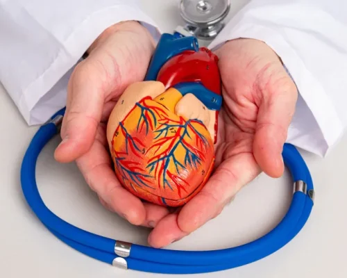 Proteína para um Coração Forte: Cardiologista Revela Melhores Fontes Vegetais, Peixes e Oleaginosas