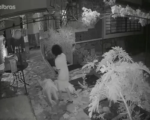 Hóspede Embriagada Ataca Idosa e Depreda Pousada em Planaltina, DF; Câmeras Capturam Violência