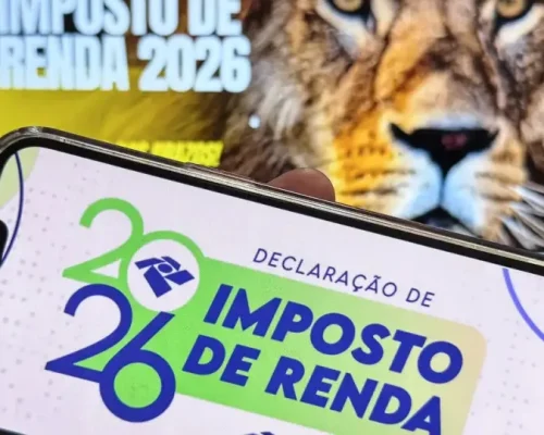 IRPF 2024: Descubra se a Declaração Completa ou Simplificada é mais vantajosa para você e economize!