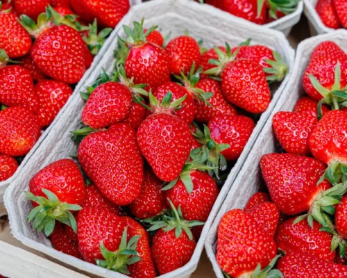 Morangos Frescos por Mais Tempo: Truque Simples com Vinagre e Papel Toalha na Geladeira!