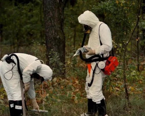 Chernobyl: Vida Selvagem Retoma Território Radioativo e Surpreende Cientistas com Adaptação Milagrosa