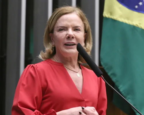 ‘Carta lida por Flávio Bolsonaro foi uma provocação deliberada contra o STF’, avalia Gleisi Hoffmann