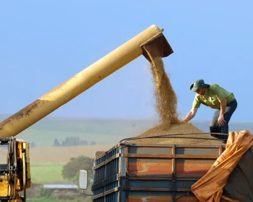 BB abre crédito de até R$ 30 milhões para máquinas agrícolas