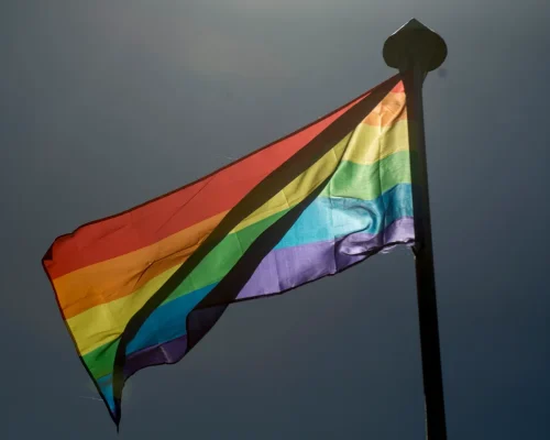 Candidaturas LGBT+ têm recorde em 2026 e se espalham por mais partidos